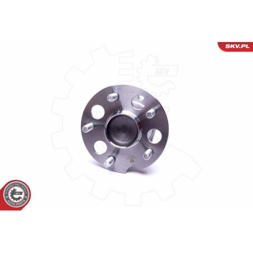 ESEN SKV Radlagersatz