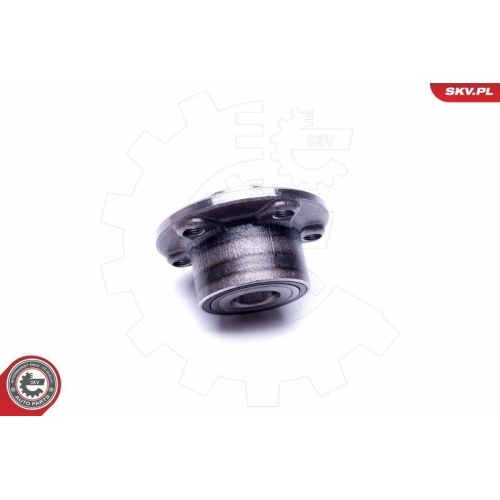 ESEN SKV Radlagersatz