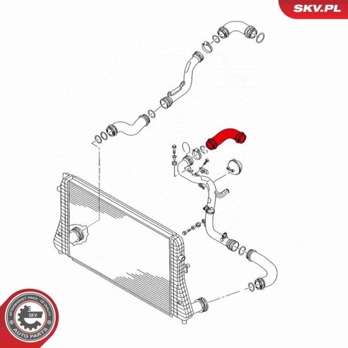 ESEN SKV Ladeluftschlauch