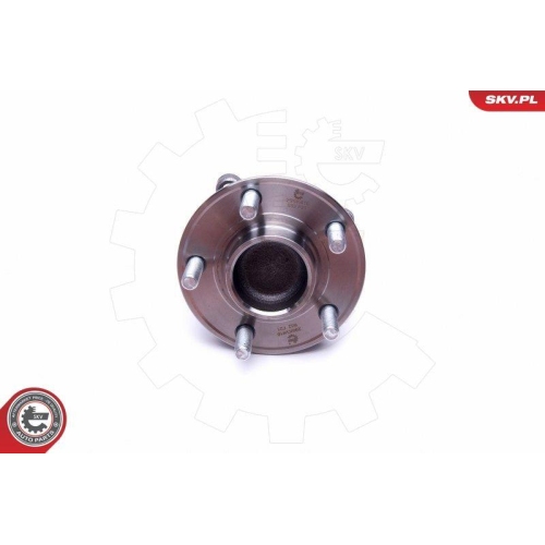 ESEN SKV Radlagersatz