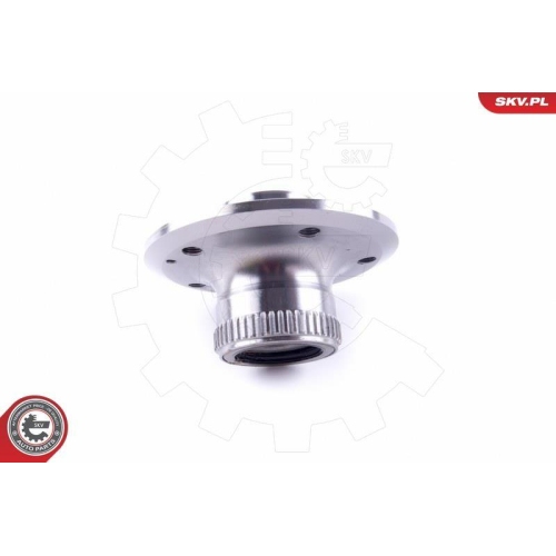 ESEN SKV Radlagersatz