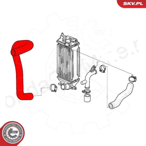 ESEN SKV Ladeluftschlauch