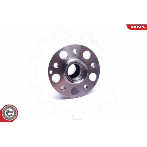 ESEN SKV Radlagersatz