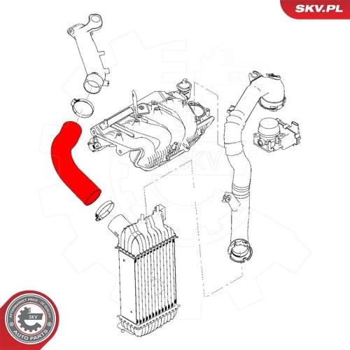 ESEN SKV Ladeluftschlauch