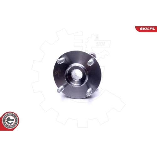 ESEN SKV Radlagersatz
