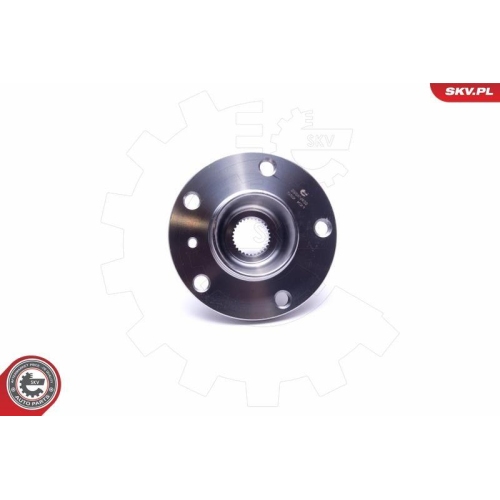 ESEN SKV Radlagersatz