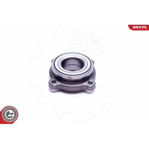 ESEN SKV Radlagersatz