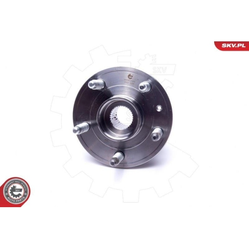 ESEN SKV Radlagersatz