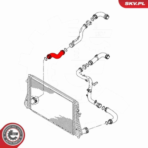 ESEN SKV Ladeluftschlauch