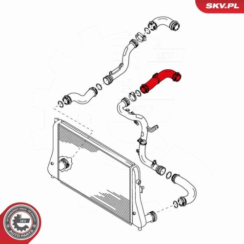 ESEN SKV Ladeluftschlauch