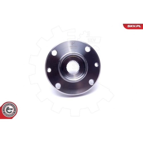 ESEN SKV Radlagersatz