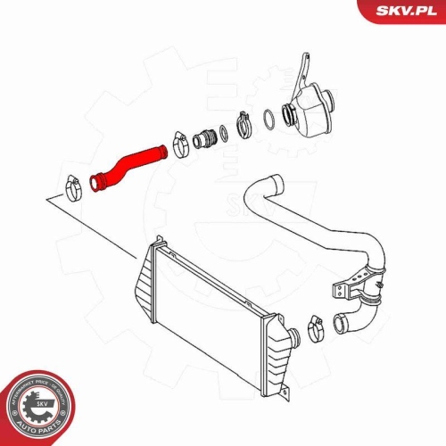 ESEN SKV Ladeluftschlauch
