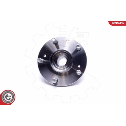 ESEN SKV Radlagersatz