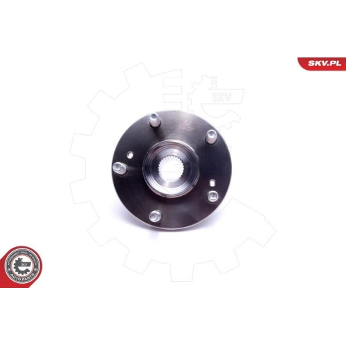 ESEN SKV Radlagersatz