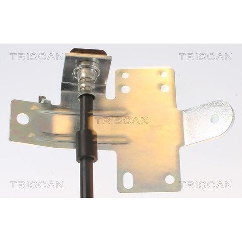 TRISCAN Bremsschlauch