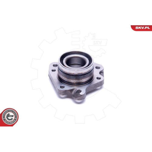 ESEN SKV Radlagersatz