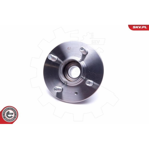 ESEN SKV Radlagersatz