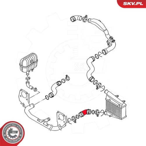 ESEN SKV Ladeluftschlauch