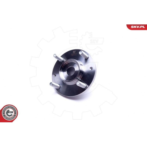 ESEN SKV Radlagersatz