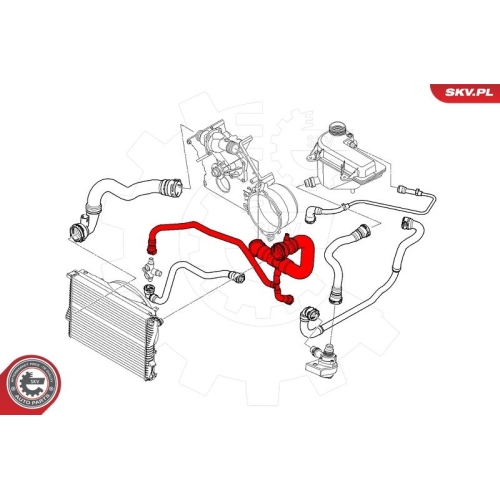 ESEN SKV Kühlerschlauch