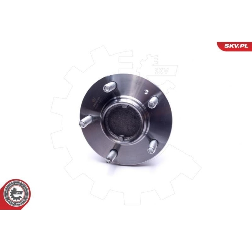 ESEN SKV Radlagersatz