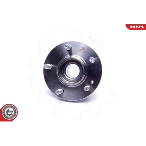 ESEN SKV Radlagersatz