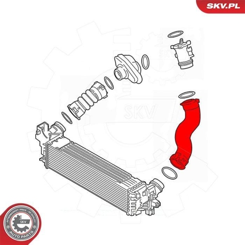 ESEN SKV Ladeluftschlauch