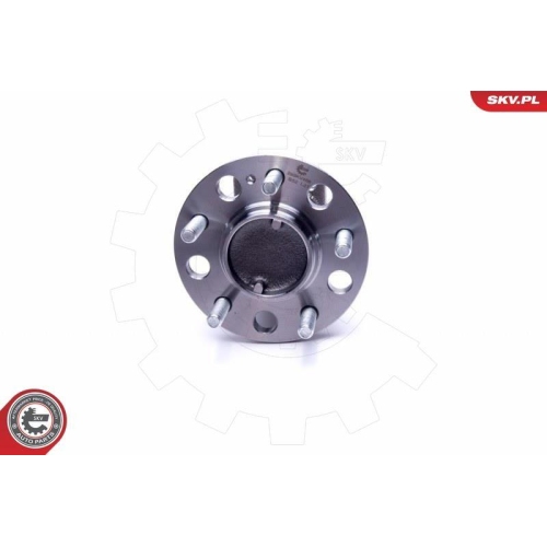 ESEN SKV Radlagersatz