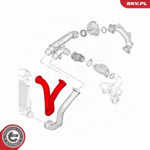 ESEN SKV Ladeluftschlauch