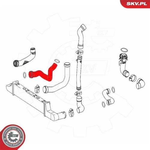 ESEN SKV Ladeluftschlauch