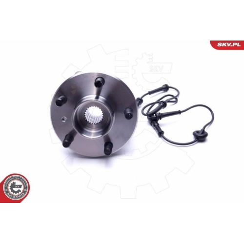 ESEN SKV Radlagersatz