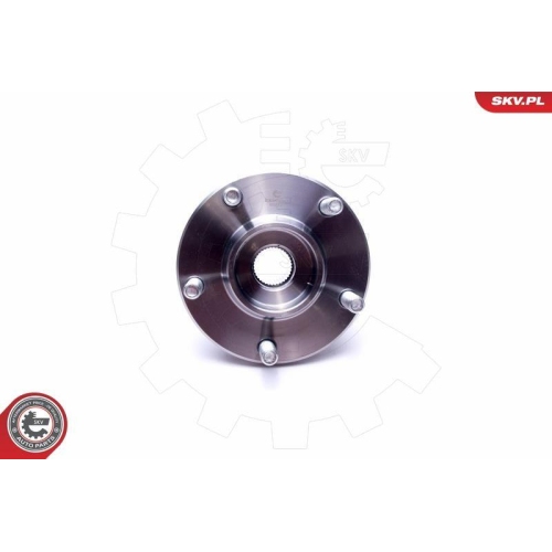 ESEN SKV Radlagersatz