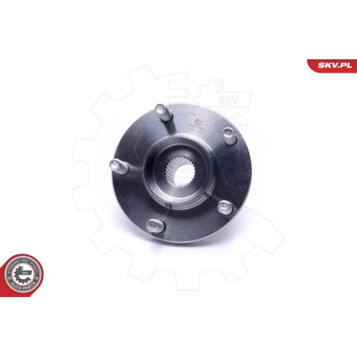 ESEN SKV Radlagersatz