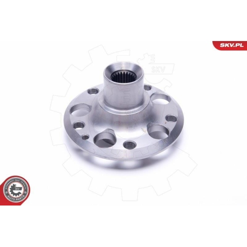 ESEN SKV Radlagersatz