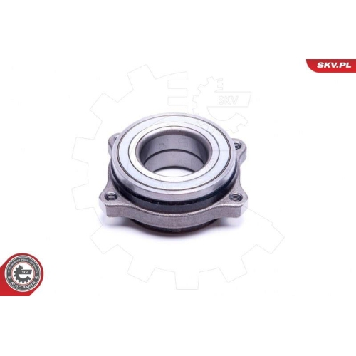 ESEN SKV Radlagersatz
