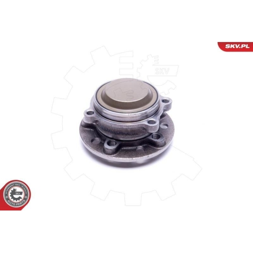 ESEN SKV Radlagersatz