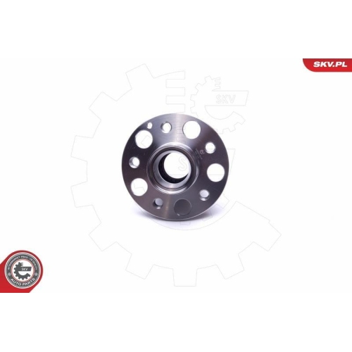 ESEN SKV Radlagersatz