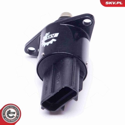 ESEN SKV Leerlaufregelventil, Luftversorgung