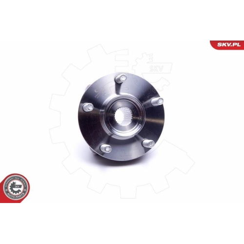 ESEN SKV Radlagersatz