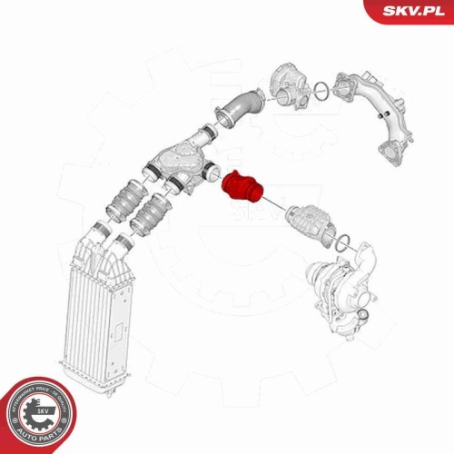 ESEN SKV Ladeluftschlauch