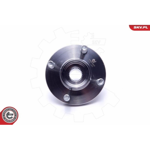 ESEN SKV Radlagersatz