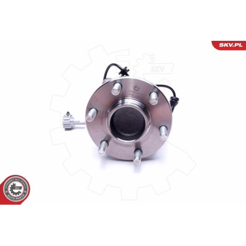 ESEN SKV Radlagersatz