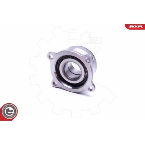 ESEN SKV Radlagersatz