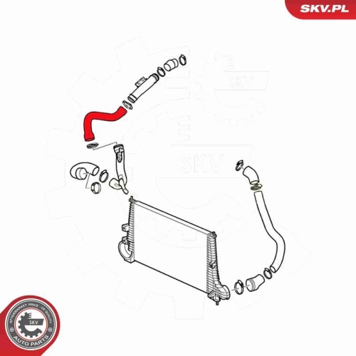 ESEN SKV Ladeluftschlauch