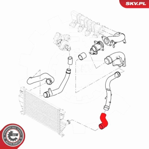 ESEN SKV Ladeluftschlauch