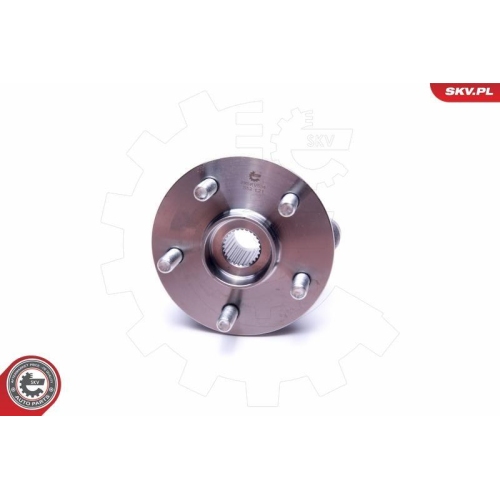 ESEN SKV Radlagersatz