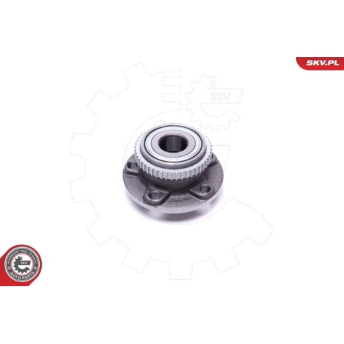 ESEN SKV Radlagersatz