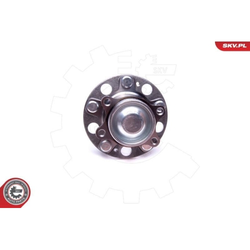ESEN SKV Radlagersatz