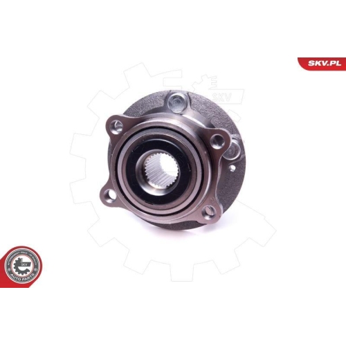 ESEN SKV Radlagersatz