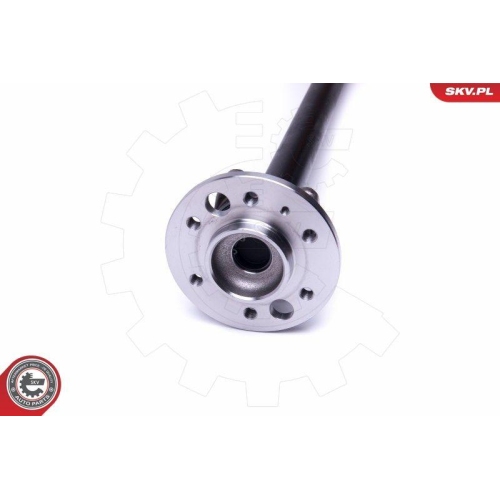 ESEN SKV Radlagersatz